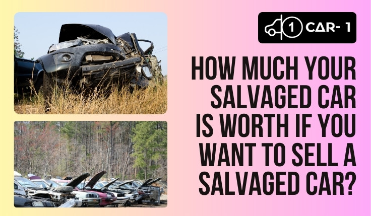 blogs/How Much Your Salvaged Car Is Worth If You Want To Sell a Salvaged Car